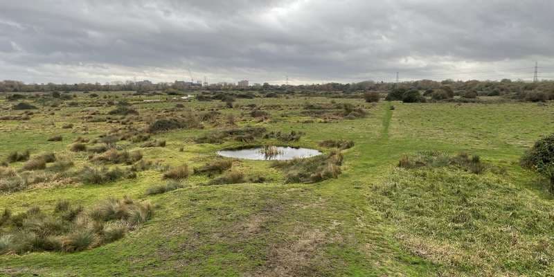The featured photo for Staines Moor: Butts Mound