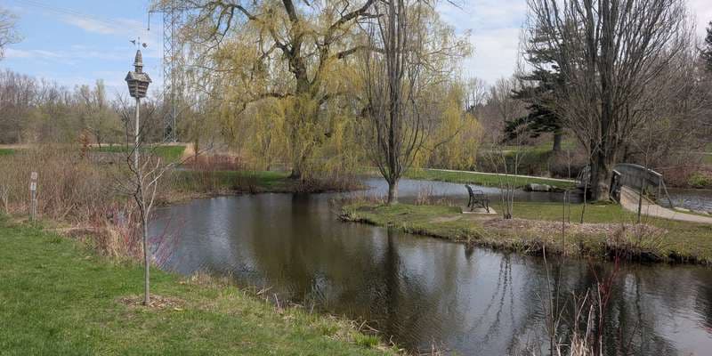 The featured photo for Waterworks Park - Lily Ponds South