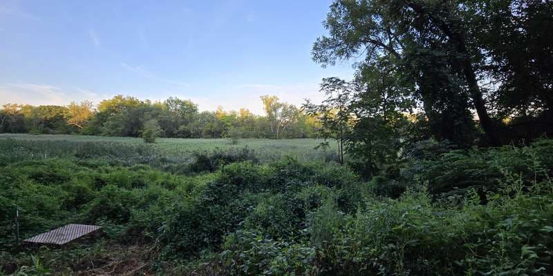 The featured photo for Ridgefield Park Nature Preserve
