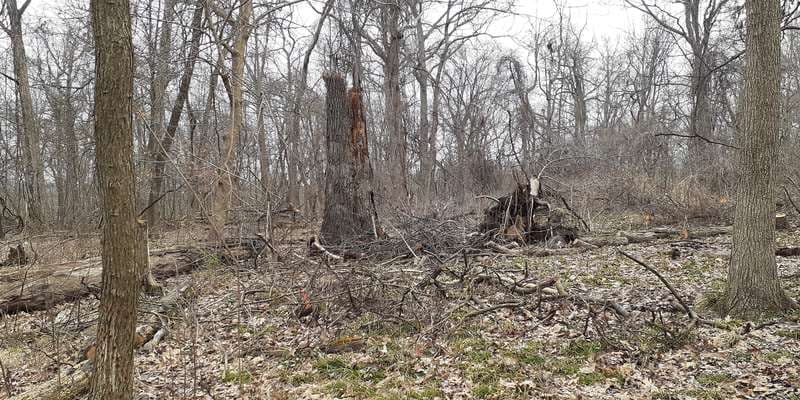 The featured photo for Prairie Development on Tanglevine Trail