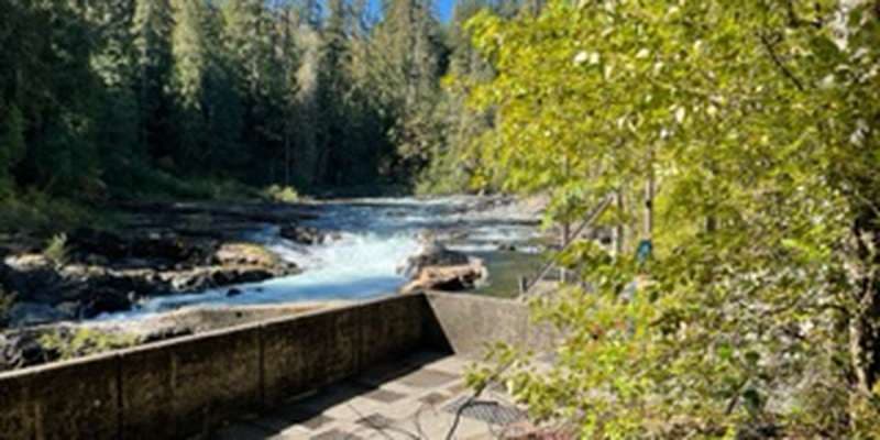 The featured photo for DFO SEP CIP Stamp Falls Photo Station