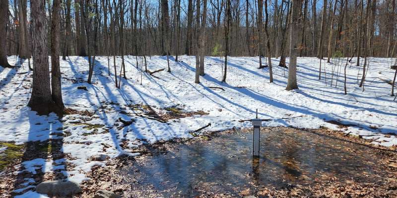 The featured photo for Kings Gap - Forest Pool 4