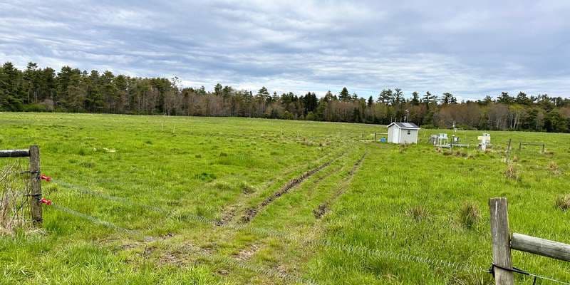 The featured photo for Brocklebank Field at Wolfe's Neck Center