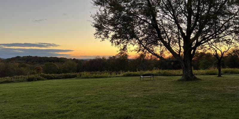 The featured photo for Holcombe Hill Wildlife Preserve
