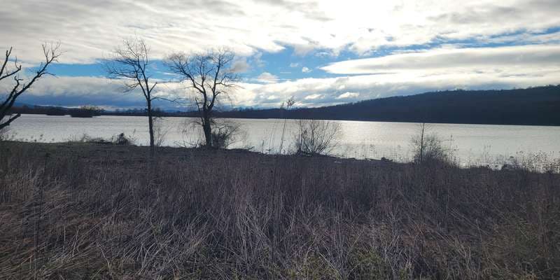 The featured photo for Stop 2- Willow Point Trail