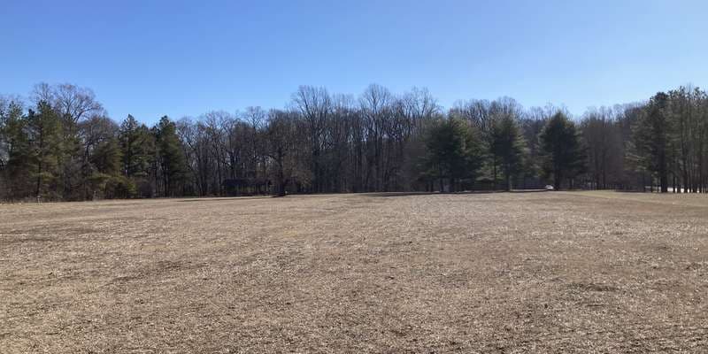 The featured photo for Kings Landing Park Meadow