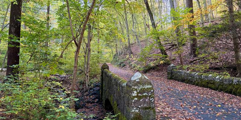 The featured photo for Boulevard and Watershed Trail