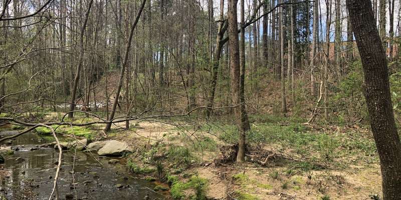 The featured photo for Wildcat Creek Wetland