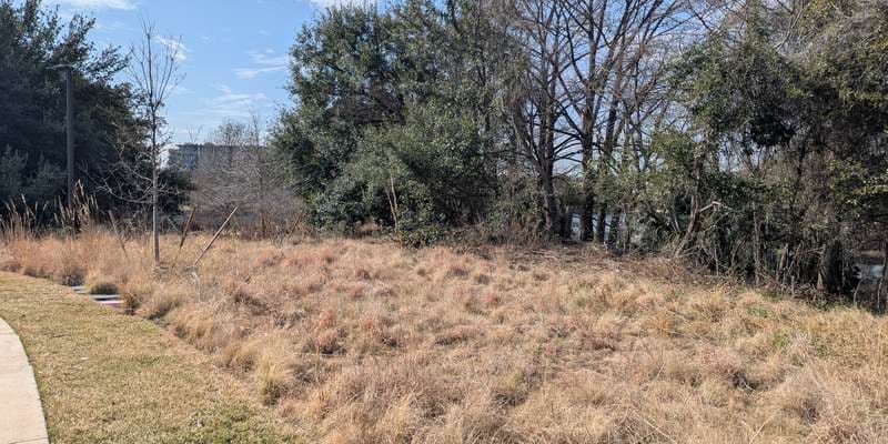 The featured photo for Holly Fishing Pier Meadow