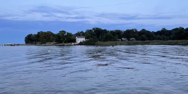 The featured photo for Cape St. Claire Living Shoreline