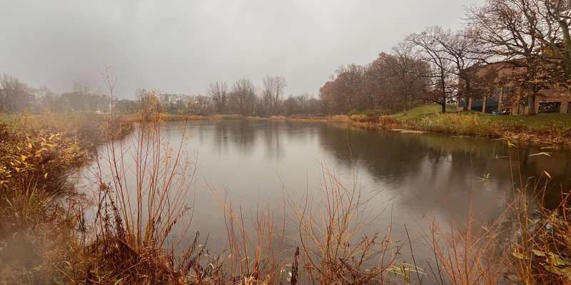 The featured photo for Pond