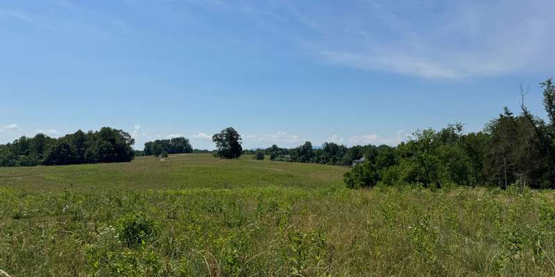 The featured photo for Panorama Natural Burial Meadow