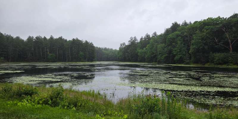 The featured photo for Peaked Mountain - Lunden Pond