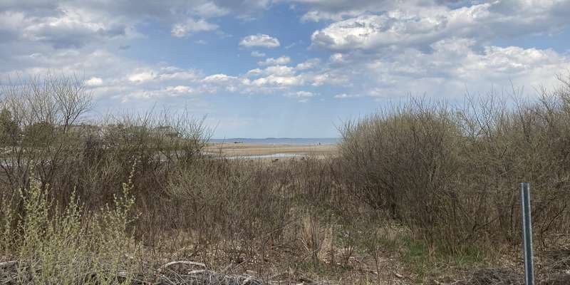 The featured photo for Goosefare Brook