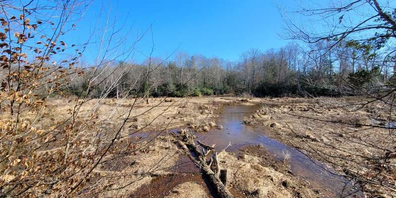 The featured photo for Two Run Beaver Pond