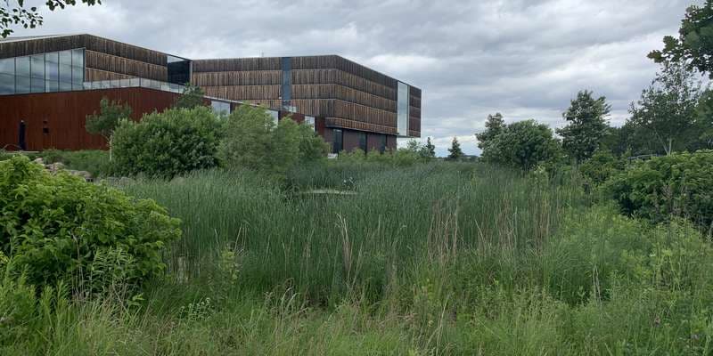 The featured photo for Learning Landscape