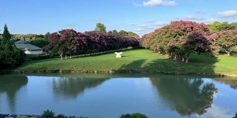 The featured photo for NATO Pond