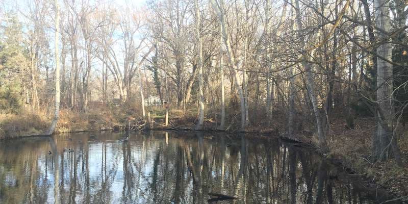 The featured photo for Sturgeon Pond