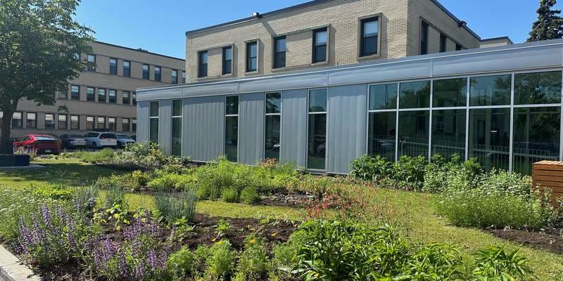 The featured photo for Jardin des pollinisateurs / Pollinator Garden