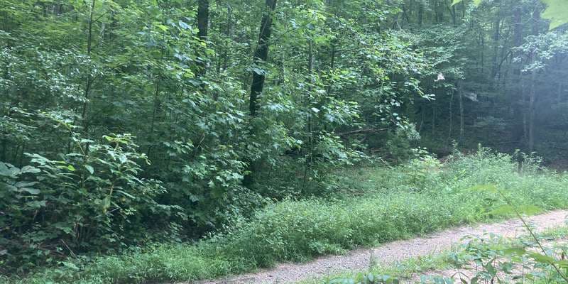 The featured photo for null