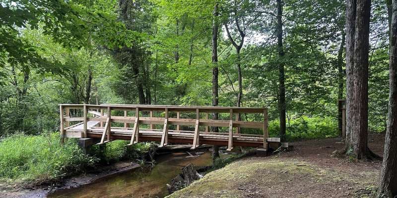 The featured photo for DCNA's Scholes Creek