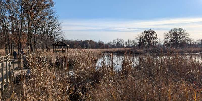 The featured photo for Springbrook Wetland