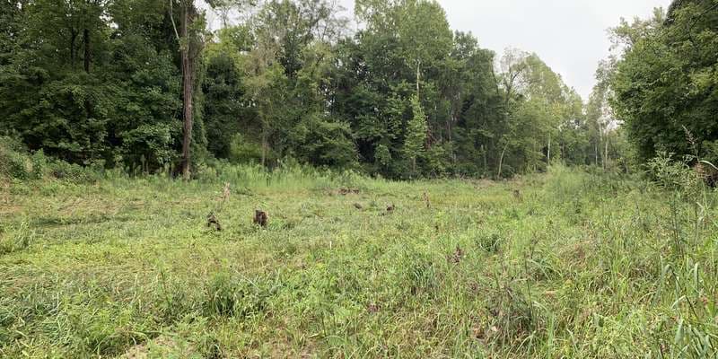 The featured photo for Eco-Corridor: Westhampton Creek/Outdoor Classroom