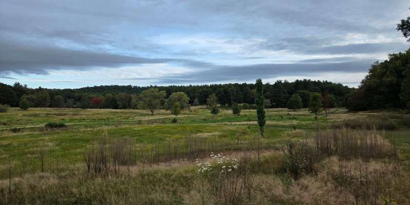 The featured photo for Beaver Brook 2