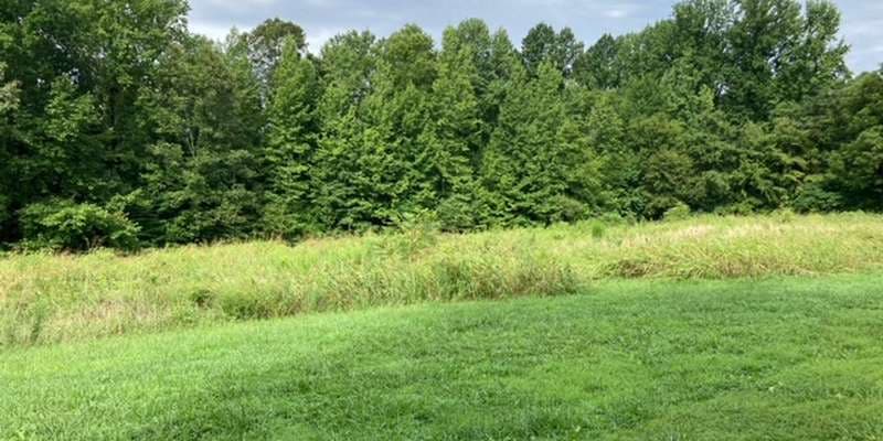 The featured photo for Confluence Natural Area