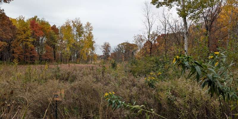 The featured photo for Teaching Prairie