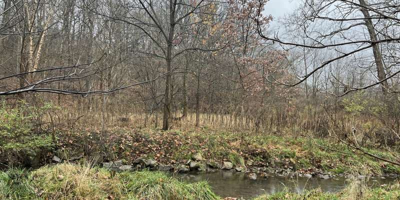 The featured photo for Nine Mile Run -- Fern Hollow Creek Channel