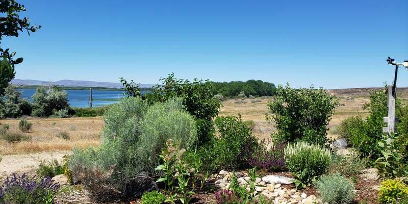 The featured photo for Visitor Center Pollinator Garden