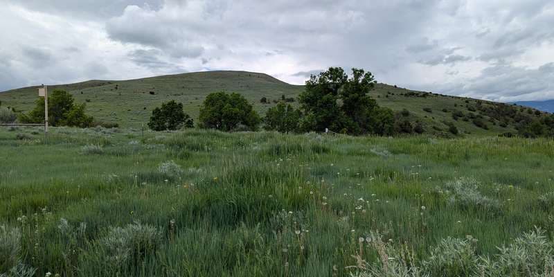 The featured photo for Big Goose Natural Area