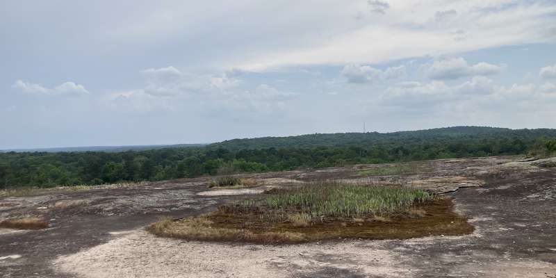 The featured photo for Mountain Summit 