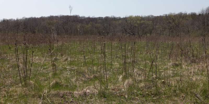 The featured photo for North End Prairie