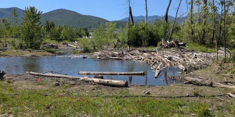 The featured photo for Bear Creek 2