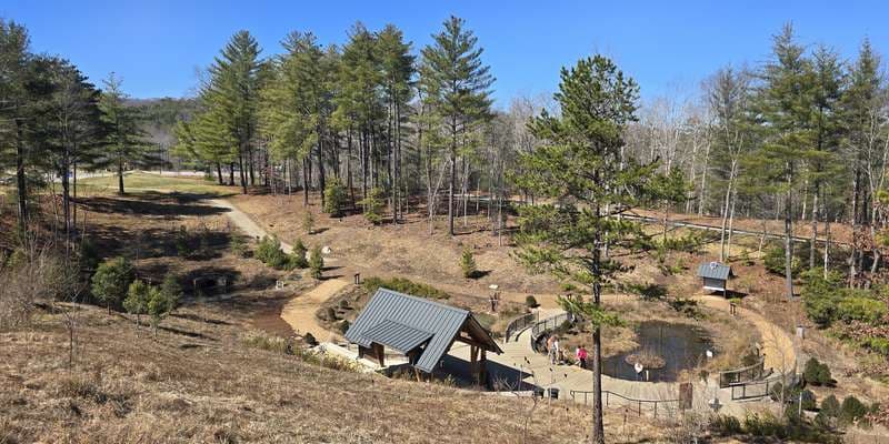 The featured photo for Willow Pond Overlook