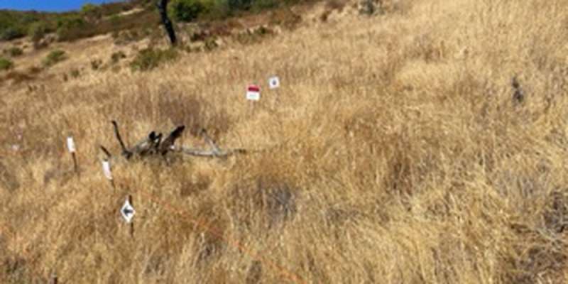 The featured photo for Blue Ridge