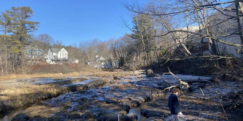 The featured photo for Salt Marsh View