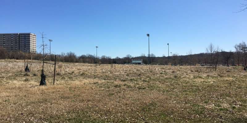 The featured photo for Ben Brenman Meadow