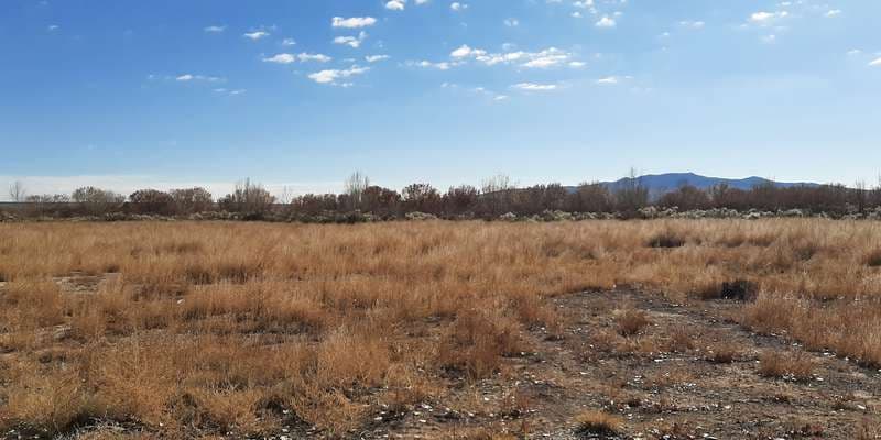 The featured photo for John P. Taylor, Jr. Memorial Trail