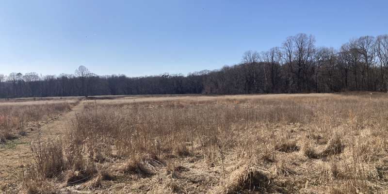 The featured photo for Gatewood Preserve Meadow