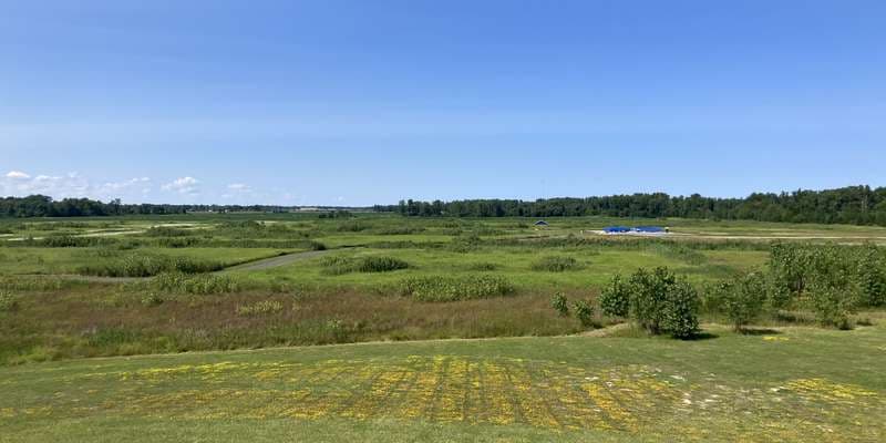 The featured photo for Parker West