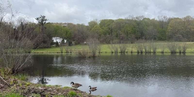 The featured photo for Hammonasset State Park, Meigs Point Bird Platform