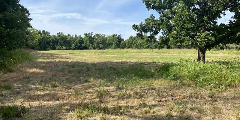 The featured photo for Red Stick Meadow Restoration