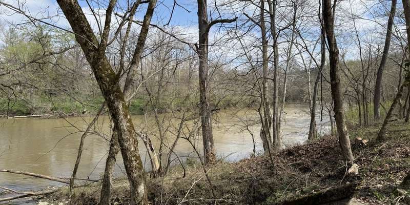 The featured photo for Six Sycamore Bend