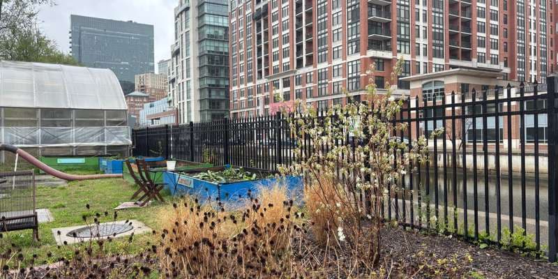 The featured photo for BUGS Pollinator Garden and Wetland