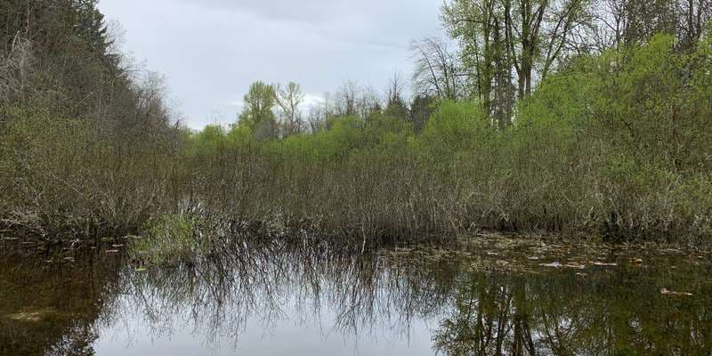 The featured photo for Snake Lake North