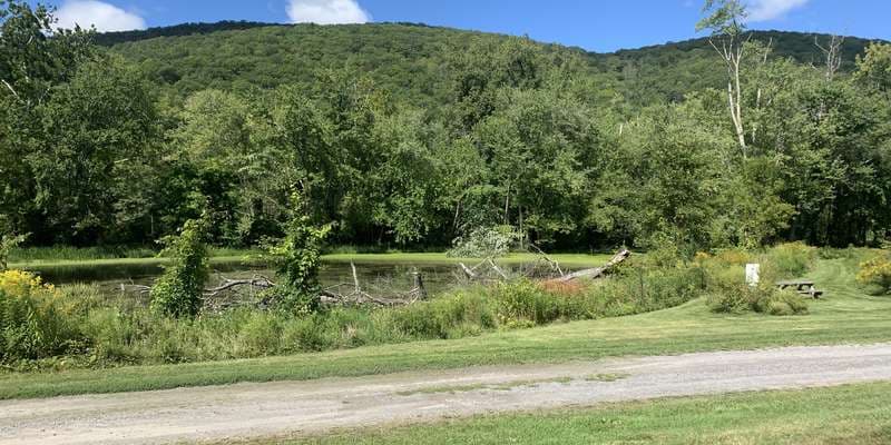 The featured photo for Claire Murphy Riverwalk
