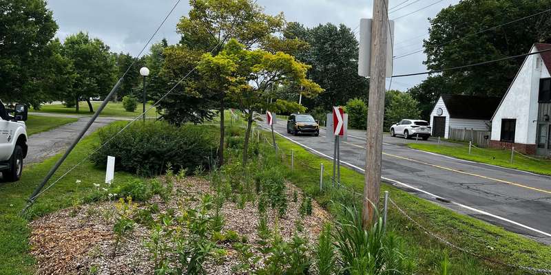 The featured photo for Mac Campus Showcase Garden